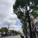 지지 노래연습장 이미지