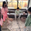 충남 서산 아이와 스핑크스타조농장 놀이방 있는 동물 체험 신상카페 이용안내 가격 및 진짜 솔직 후기