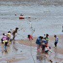 해변의 꿈 이미지