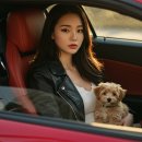 부산 렌트카 1일 비용 비교총정리 🚘 2025년 기준