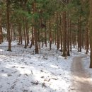 돈내코 평궤 화장실 이미지