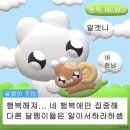 돈워리비해피 이미지