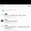 피티온 이미지