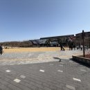 (주)이씨엠디/기린키오스크 | 아기호랑이 설호 보러 오랜만에 방문한 과천 서울대공원 방문 후기 서울근교나들이 추천