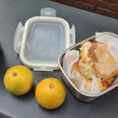 리틀우리태권도 | W8. 아 10월 진짜 좋았는데.