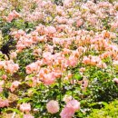 도당동행정복지센터 이미지