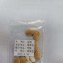 토종 단호박 씨앗 무료분양 (33명) 이미지