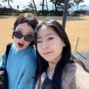 제주 하연 이미지