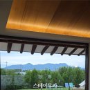 스테이무카 이미지