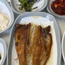 전주식당 | 태안 전주식당 대형견 동반 게국지 맛집 후기