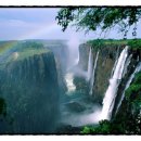 (주)사랑으로 이미지