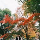 당신의 꽃그림, 보태니컬 아트 이미지