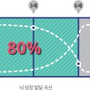골드브레인