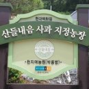 평창해피몰