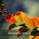 Symphathy 이미지