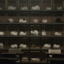 가위든가족 이미지