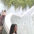 칼튼 관광호텔 | 싱가포르 칼튼 호텔 보스 대신 카펠라 센토사섬 가는법 비치 관광 여행 꿀팁