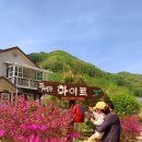 펜션파프리카화이트