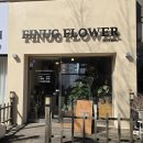 행정서로1길 | 향남 꽃집 추천 피너그플라워 s사이즈 꽃다발 후기