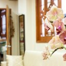 홍성균한의원 이미지