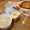 로이드페스츄리