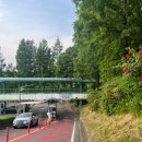 광교산공영자전거대여소(버스종점) 이미지