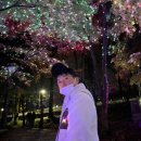 광주사직공원 이미지