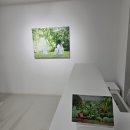 THE BLUE | 서울 종로 전시 추천 <푸른 잠 THE BLUE SLUMBER> 관람 후기｜이우림 개인전, 현실과 환상이 만나는...