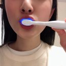벨라로그 이미지