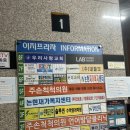 주손 척척 의원 도수치료 체험 후기
