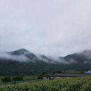 후곡보건진료소 이미지