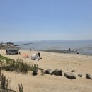 고온 | [경기/화성] 고온이 해변 드라이브 후기(2026.05.30.)