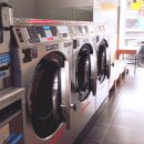 진아리채세탁 이미지