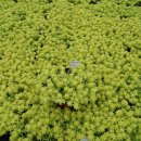 둘리농장 이미지