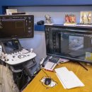 메디펫 동물병원 이미지