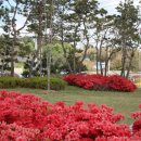 뽕이랑 귀농이랑 이미지