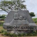 안녕 제주 이미지