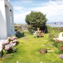 제주애아리 이미지