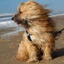 프로골프아카데미 이미지