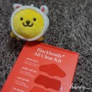 브라운랩 | 코팩추천 브라운랩 빨간코팩 블랙헤드 제거 후기