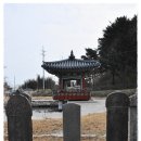모라산림공원 | 울진여행 - 울진봉평리신라비 전시관