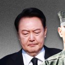 브이아이피모터스 이미지