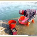 11월 제철수산물안내(굴,광어,꼬막,꽁치,대하,복어,방어,삼치,해삼,홍합,가리비,과메기,산낙지,고등어,먹갈치,참조기) 입니다. 이미지