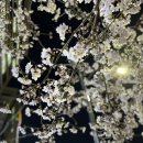 오라델떼(oradelte’) 이미지