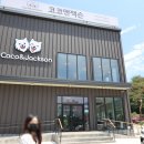 코코앤잭슨 이미지