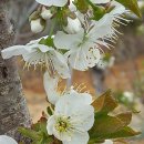 배골농장 이미지