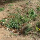 계수농장 이미지