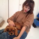 생각의집 이미지