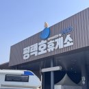 호수펫 | 평택호 휴게소 맛집 먹거리 푸드코트 펫파크 후기