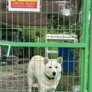 아리산스테이지 이미지